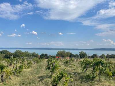 Eladó építési telek - Balatonszepezd / 19. kép