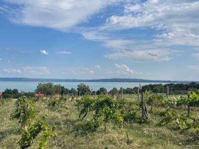 Eladó építési telek - Balatonszepezd / 20. kép