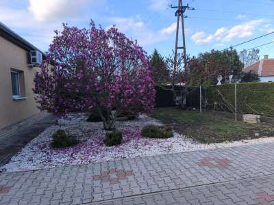 Eladó családi ház - Szolnok (Szandaszőlős) / 12. kép