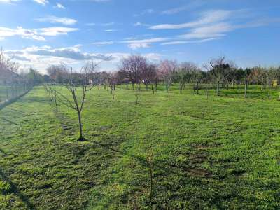 Eladó családi ház - Szolnok (Szandaszőlős) / 15. kép