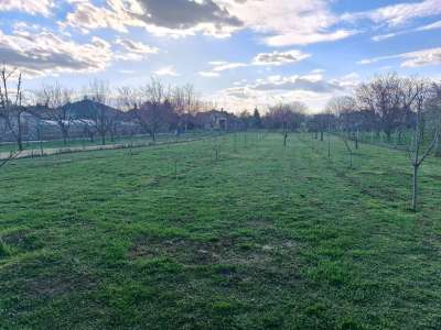 Eladó családi ház - Szolnok (Szandaszőlős) / 17. kép