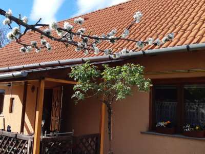 Eladó családi ház - Szolnok (Szandaszőlős) / 1. kép