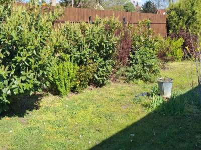 Eladó családi ház - Szolnok (Pletykafalu) / 23. kép