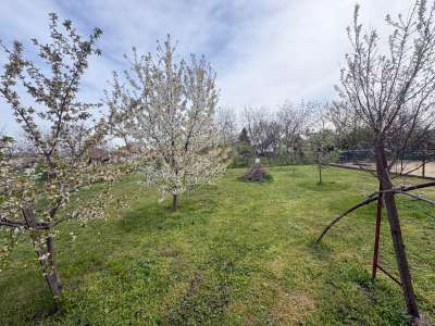 Eladó családi ház - Alattyán (Alattyán) / 15. kép