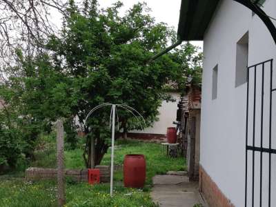 Eladó családi ház - Tiszaföldvár (Tiszaföldvár) / 24. kép