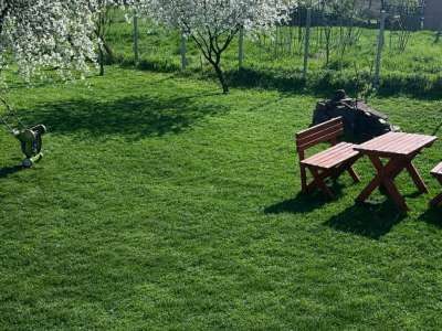 Eladó családi ház - Újszász (Újszász) / 10. kép