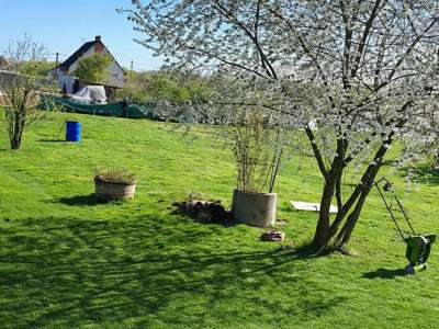 Eladó családi ház - Újszász (Újszász) / 11. kép