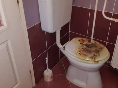 Eladó családi ház - Tiszaföldvár (Tiszaföldvár) / 7. kép