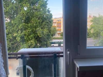 Eladó téglalakás - Szolnok (Tallinn) / 11. kép
