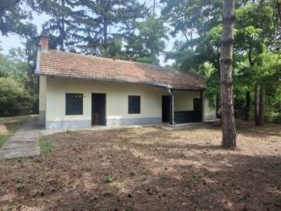 Eladó családi ház - Szászberek / 17. kép