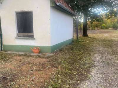 Eladó kert, gyümölcsös - Szolnok (Alcsisziget) / 6. kép
