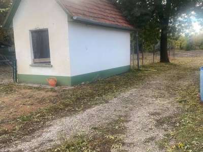 Eladó kert, gyümölcsös - Szolnok (Alcsisziget) / 7. kép