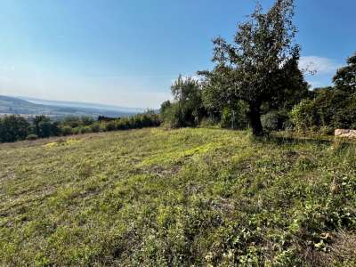 Eladó mezőgazdasági terület - Balatoncsicsó / 3. kép