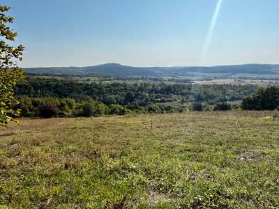 Eladó mezőgazdasági terület - Balatoncsicsó / 5. kép