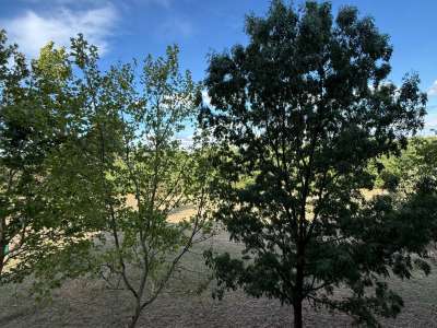 Eladó panellakás - Pétfürdő / 9. kép