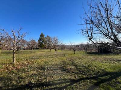 Eladó zártkert - Sóly / 22. kép