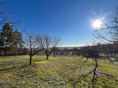 Eladó zártkert - Sóly / 21. kép