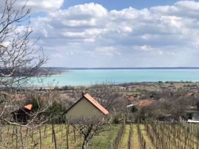 Eladó nyaraló - Balatonalmádi (Újhegy) / 15. kép