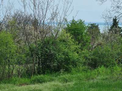 Eladó építési telek - Balatonalmádi (Öreghegy) / 6. kép