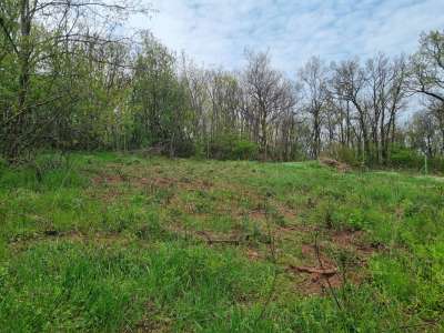 Eladó építési telek - Balatonalmádi (Öreghegy) / 10. kép