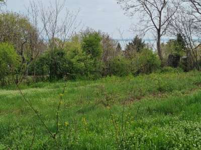 Eladó építési telek - Balatonalmádi (Öreghegy) / 4. kép
