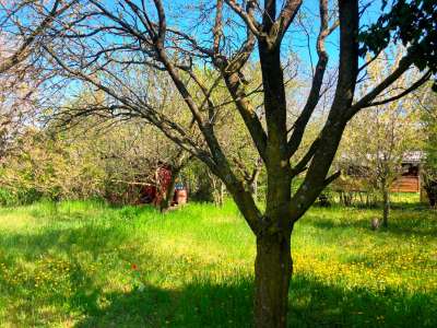 Eladó nyaraló - Balatonfűzfő / 12. kép