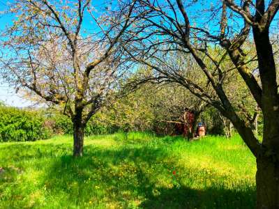 Eladó nyaraló - Balatonfűzfő / 13. kép