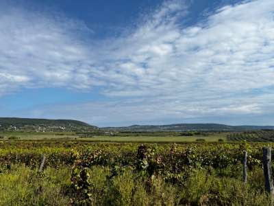 Eladó mezőgazdasági terület - Zánka / 6. kép