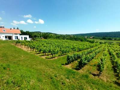 Eladó gazdasági épület - Felsőörs (Felsőörs) / 30. kép