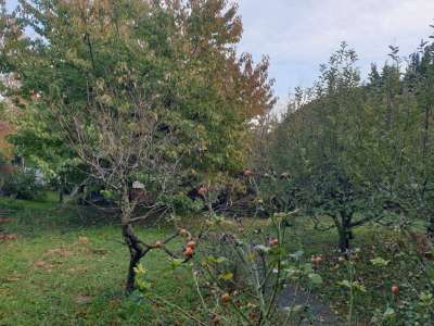 Eladó családi ház - Balatonalmádi (Városközpont) / 19. kép