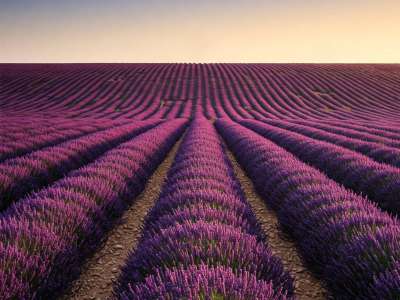 Eladó mezőgazdasági terület - Barnag / 2. kép