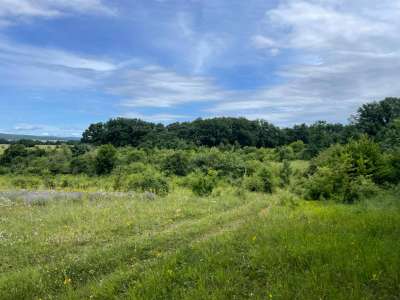 Eladó mezőgazdasági terület - Barnag / 5. kép