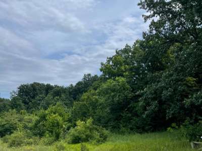 Eladó mezőgazdasági terület - Barnag / 6. kép