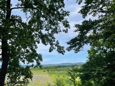 Eladó mezőgazdasági terület - Barnag / 7. kép