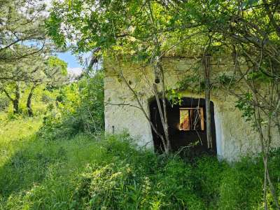 Eladó birtok - Vászoly / 12. kép