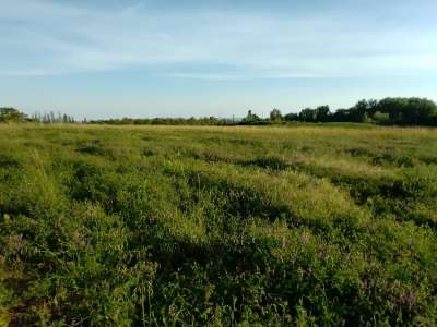 Eladó mezőgazdasági terület - Paloznak / 2. kép