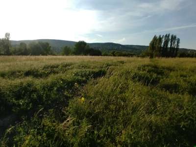 Eladó mezőgazdasági terület - Paloznak / 5. kép