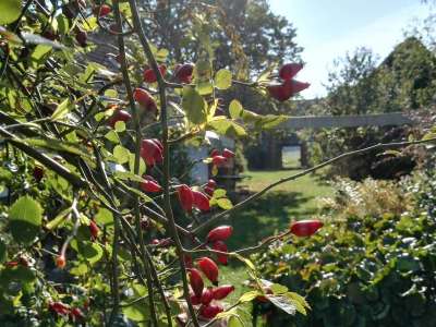 Eladó családi ház - Barnag / 58. kép