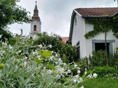 Eladó családi ház - Barnag / 52. kép