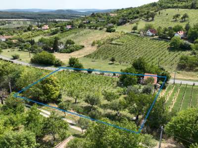 Eladó családi ház - Pécsely / 13. kép