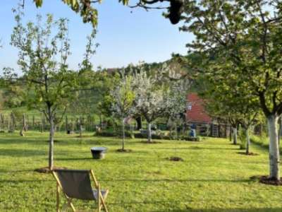 Eladó családi ház - Pécsely / 10. kép