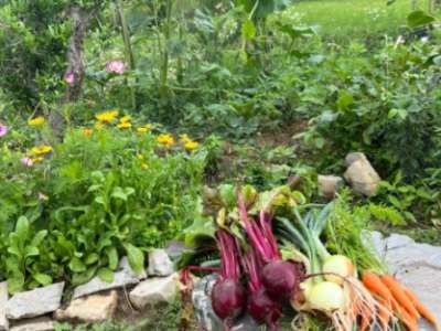 Eladó családi ház - Pécsely / 14. kép