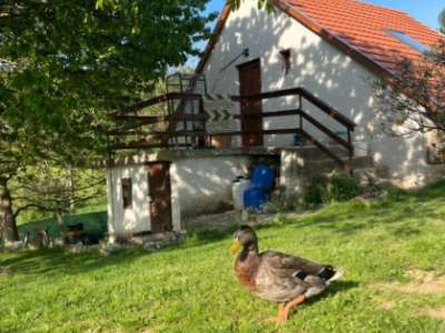 Eladó családi ház - Pécsely / 1. kép