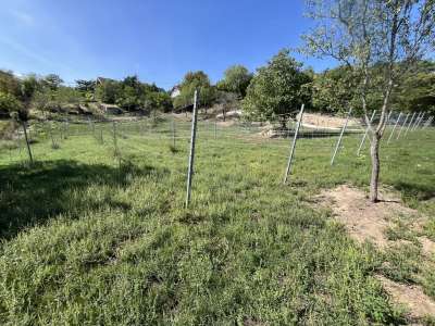 Eladó gazdasági épület - Paloznak / 7. kép