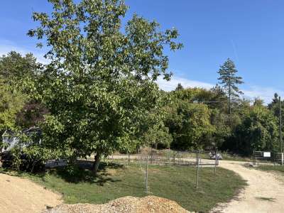 Eladó gazdasági épület - Paloznak / 14. kép