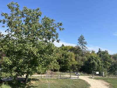 Eladó gazdasági épület - Paloznak / 15. kép