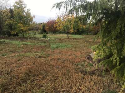 Eladó építési telek - Balatonalmádi / 7. kép