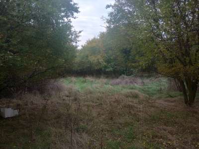 Eladó építési telek - Papkeszi / 1. kép