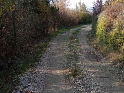 Eladó mezőgazdasági terület - Balatonkenese / 10. kép
