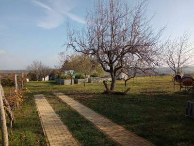 Eladó mezőgazdasági terület - Balatonkenese / 2. kép